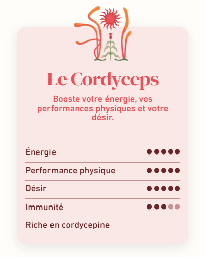 bienfaits champignon Cordyceps