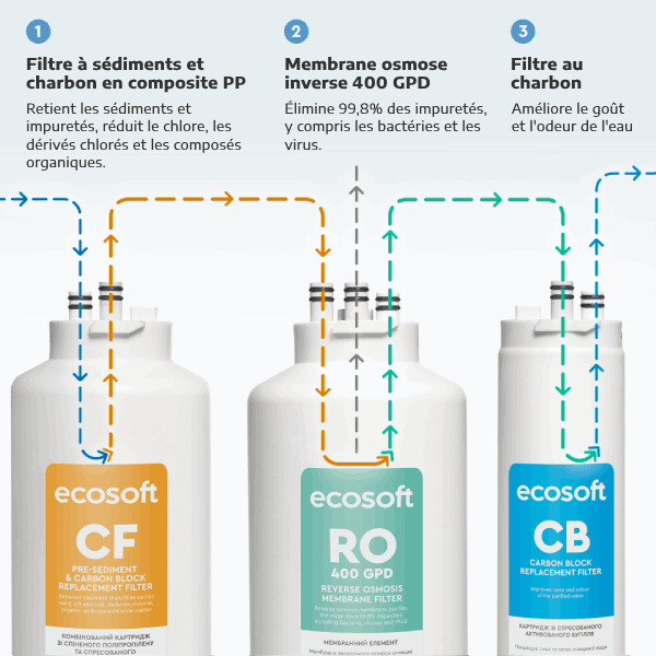 Fonctionnement du filtre à osmose inverse Ecosoft CROSS 60